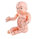 Mô hình châm cứu trẻ sơ sinh